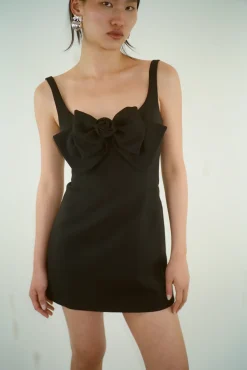 Women Sandy Liang Dresses^Arden Dress In Black